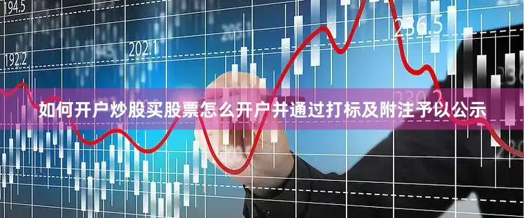 如何开户炒股买股票怎么开户并通过打标及附注予以公示
