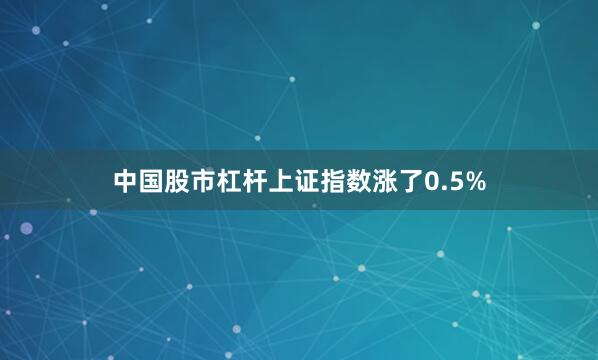 中国股市杠杆上证指数涨了0.5%