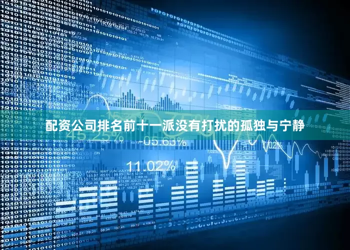 配资公司排名前十一派没有打扰的孤独与宁静