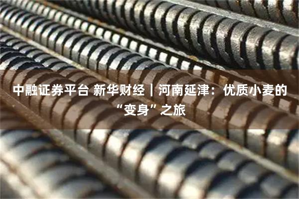 中融证券平台 新华财经｜河南延津：优质小麦的“变身”之旅